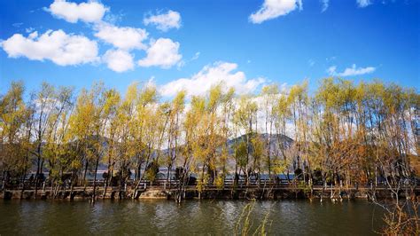 丽江有哪些著名景区，这些值得一玩的景点你都去过吗？ | 宠物天空