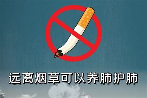 禁烟科普丨拒绝烟草，从你我做起！_澎湃号·政务_澎湃新闻-The Paper