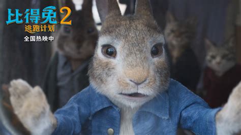 经典动画：彼得兔Peter Rabbit Season 2 高清（更新至18集） 动画+MP3下载 - 爱贝亲子网