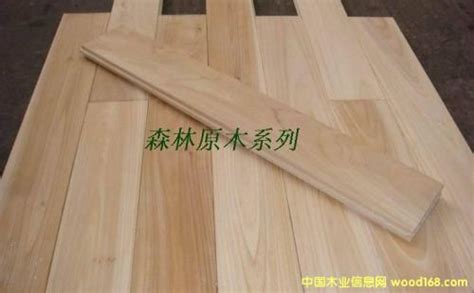 杉木地板价格 杉木地板的施工方法