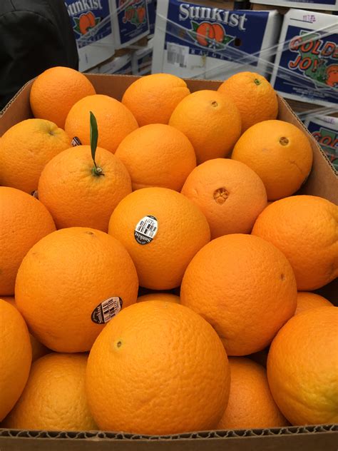 国际果蔬批发市场周报 橙子 | 国际果蔬报道