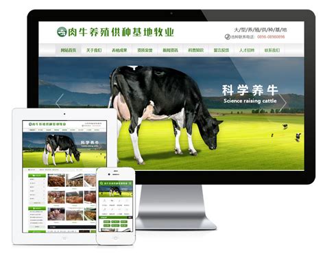 养牛场网站建设|畜牧养殖网站模板|畜牧企业网站源码-易优CMS