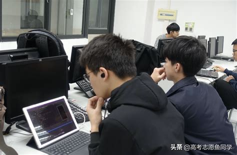 2021年男生最吃香的十大个专业，就业轻松工资高，还很有前途_南京新华电脑专修学院