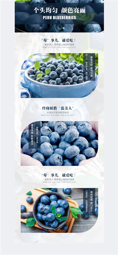 蓝莓水果电商淘宝详情页模板素材-正版图片400613420-摄图网