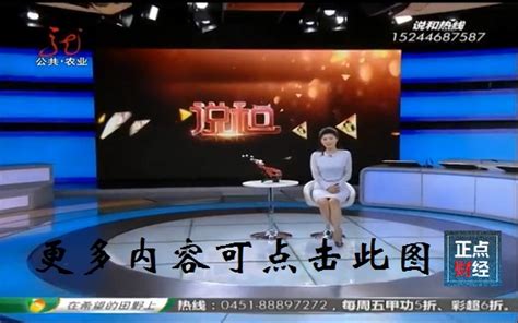 黑龙江电视台新闻频道一转成双_在线视频直播_正点财经-正点网