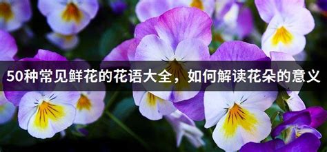 十种花的象征意义 十种象征意义的花_知秀网