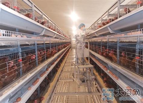 养鸡设备的机械化全面发展 养鸡设备厂家、养鸭设备厂家普惠农牧