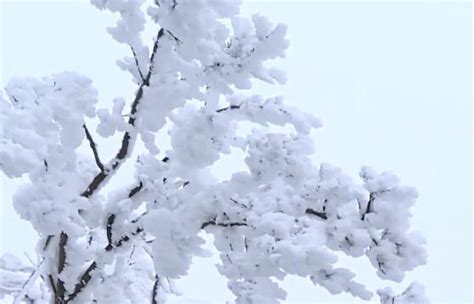 下雪唯美伤感图片大全-下雪了唯美伤感句子图片精选无水印版-东坡下载