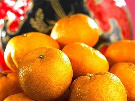 吃橘子不吐籽险些丧命？专家：水果籽都最好别吞__财经头条