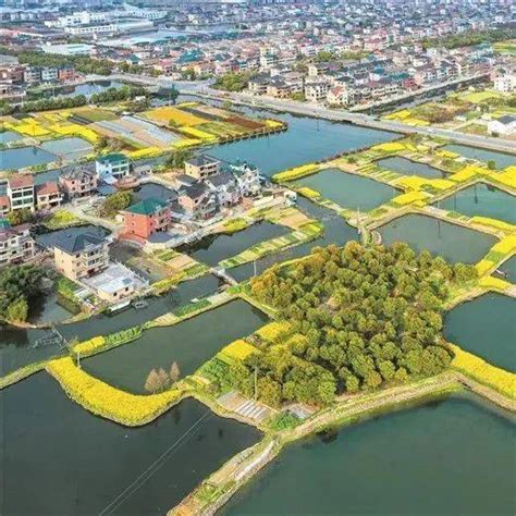 苍南县钱库镇城镇总体规划-规划设计资料