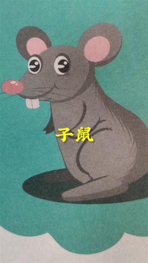 老鼠的形容与描述,一句话形容老鼠,老鼠的样子怎么描写(第2页)_大山谷图库