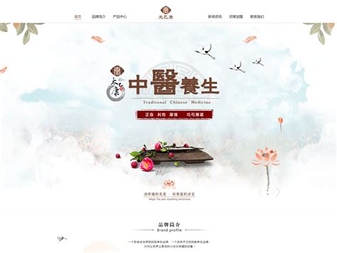 中国风品牌网站_设计新力量-站酷ZCOOL