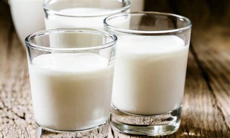 羊奶的营养价值及功效与作用、禁忌_健康大百科
