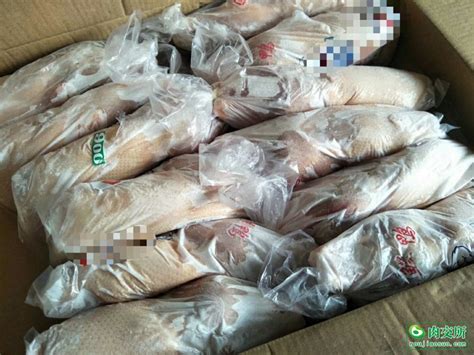 北京烤鸭专用鸭白条鸭厂家直销生鲜鸭冷冻鸭肉现杀现卖鸭肉-阿里巴巴