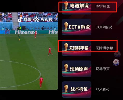 电脑CCTV怎么观看世界杯直播和回放_360新知