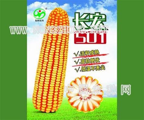 玉米种子 - 中国北京种业线上交易平台