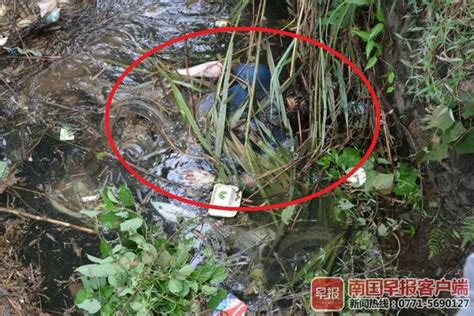 【广西新闻网|河池一男子刚过生日便失踪 9天后在水沟里发现遗体|8月18日】_傻大方