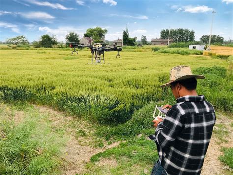 陆稻、水稻育种专家到东莞市指导稻品种引进推广工作-广东省农业农村厅网站