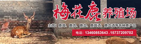 汤阴县举行“人才基金奖金”颁发仪式