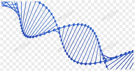 逼真人体DNA双螺旋图片素材免费下载 - 觅知网