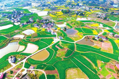 在希望的田野上 | “五良”融合宜机化改造 四川资中水稻亩产增加至630公斤