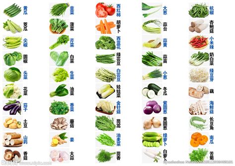 新鲜蔬菜形象LOGO设计矢量图片(图片ID:2338189)_-logo设计-标志图标-矢量素材_ 素材宝 scbao.com