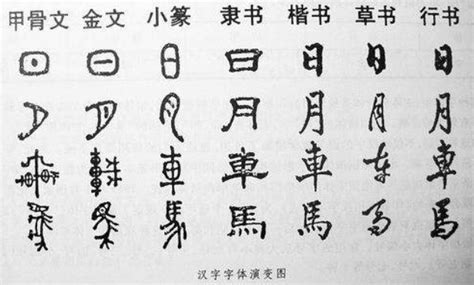 汉字的演变过程 汉字怎么演变的 - 天奇生活