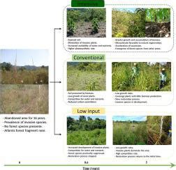 Intensive silvicultural practices drive the forest restoration in ...