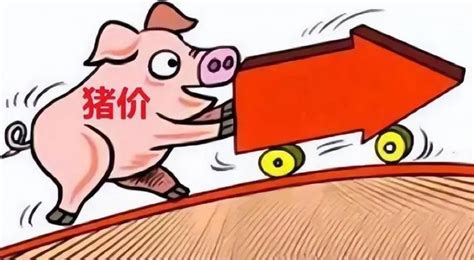 近期的猪价对生活的影响有多少？未来几年内对什么行业影响大？_全国
