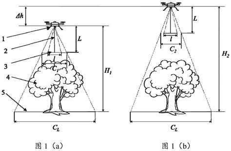 温带针阔混交林叶片性状随树冠垂直高度的变化规律