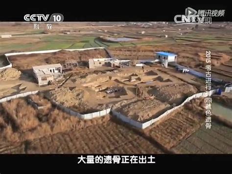 CCTV10探索发现祥云大波那古墓探秘·蓝色遗骨