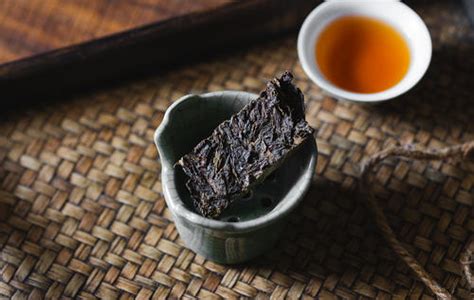 九品墨安化黑茶为您解答安化黑茶三尖的详细介绍及品质区分 | 普洱茶网