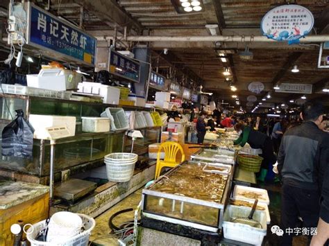 兴旺海鲜城 | 水产批发市场吃海鲜，没有中间商赚差价_厦门