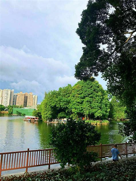 2021荔湾湖公园-旅游攻略-门票-地址-问答-游记点评，广州旅游旅游景点推荐-去哪儿攻略