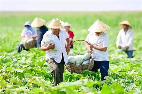 农民专业合作社是否需要工商登记？新《中华人民共和国市场主体登记管理条例实施细则》告诉你 - 知乎