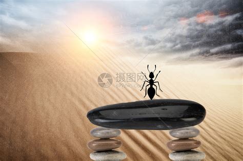 创意蚂蚁插画图片下载_红动中国