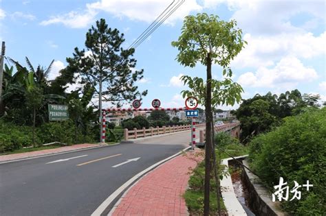 河源紫金县预制菜产业园项目开工建设，年产值超2亿元！