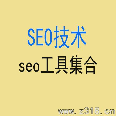 seo和新媒体哪个有前景（公司企业做seo还有用吗现在）-8848SEO