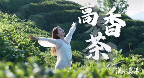湖北襄阳：基地茶农采茶忙-人民图片网