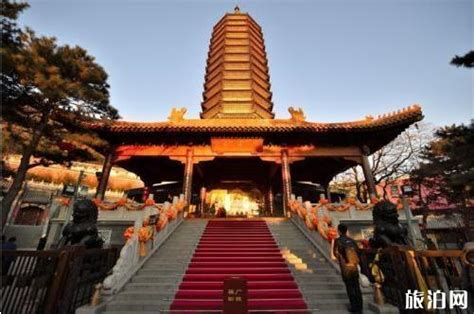 深圳香火旺盛的一座寺庙，目标是办成中国一流的佛家文化寺院|寺庙|香火|寺院_新浪新闻