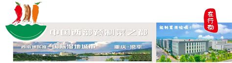 梁平将打造中国(西部)预制菜之都 已出台《产业规划》和《支持加快发展十条措施》 - 重庆日报网