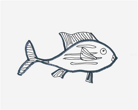 8岁简笔画教程 热带鱼的画法图解💛巧艺网