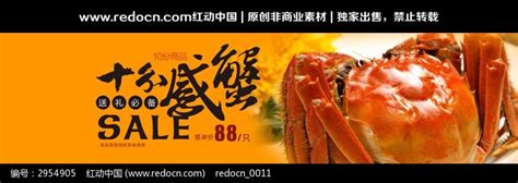 中国海蟹品种大全图,海蟹品种大及名字,海螃蟹品种_大山谷图库
