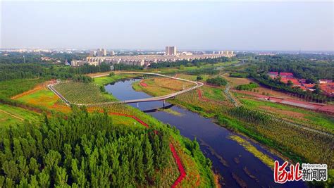 沧州大运河绿色生态廊道明年初步建成凤凰网河北_凤凰网