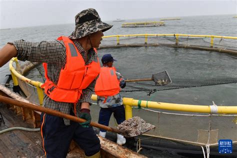 我国规模最大！国家海洋渔业生物种质资源库在青岛揭牌-黄海水产研究所