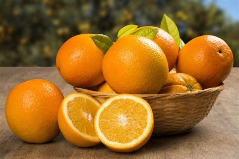 橙色的金桔图片-橙色的金橘树上素材-高清图片-摄影照片-寻图免费打包下载