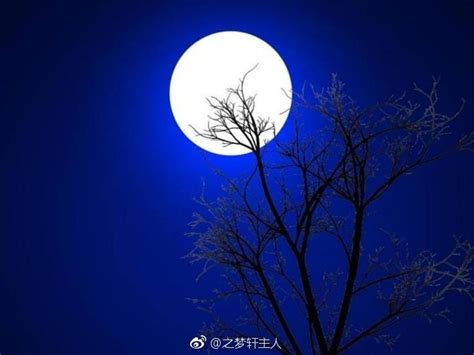 窗外月光图片,明亮,皎白_大山谷图库