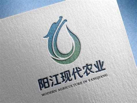 阳江画册设计公司_阳江包装设计公司如何提供包装专业划服务-阳江画册设计公司