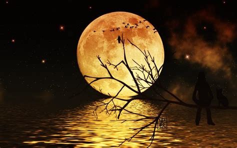 与月亮有关的诗句有哪些？,与月亮有关的诗