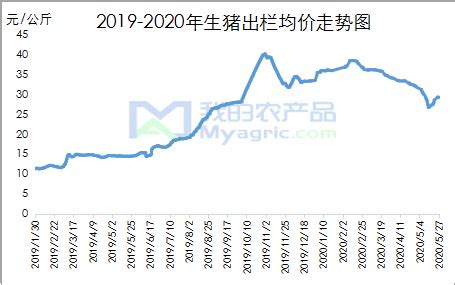 全国猪价再次突破“23.5元”关口 供需关系是影响猪周期的主因 - 上海商网